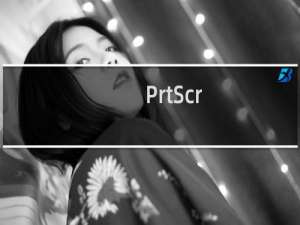 【PrtScr】免费PrtScr软件下载