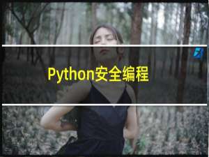 Python安全编程