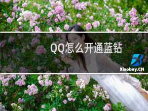 QQ怎么开通蓝钻（qq蓝钻手机开通）