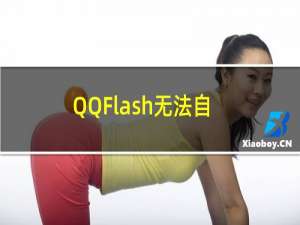 QQFlash无法自动运行怎么办（qq flash）