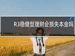 R3稳健型理财会损失本金吗