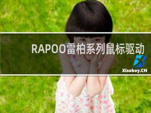 【RAPOO雷柏系列鼠标驱动】免费RAPOO雷柏系列鼠标驱动软件下载
