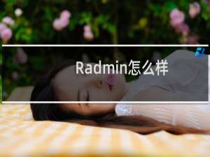 Radmin怎么样（Radmin使用教程及常见问题解答）