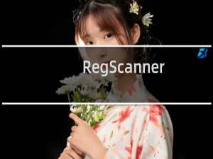 【RegScanner】免费RegScanner软件下载