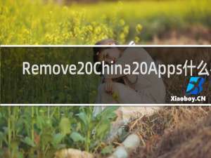 Remove China Apps什么梗