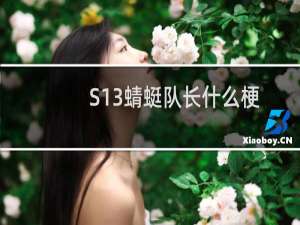 S13蜻蜓队长什么梗