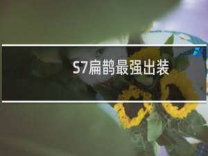 S7扁鹊最强出装