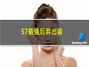 S7最强后羿出装