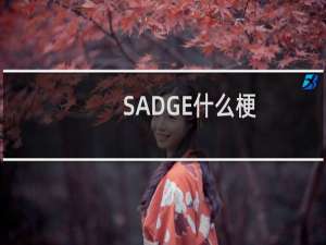 SADGE什么梗