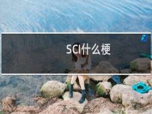 SCI什么梗