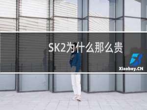 SK2为什么那么贵