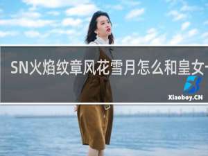 SN火焰纹章风花雪月怎么和皇女一起