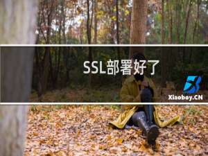 SSL部署好了，为何还不能用。