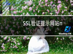 SSL验证提示网站nmruike.com存在301跳转，麻烦