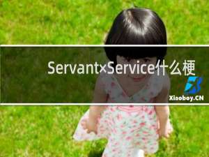 Servant×Service什么梗