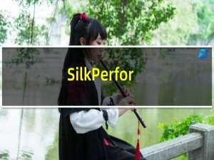 SilkPerformer是什么