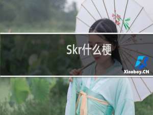 Skr什么梗？Skr是什么意思什么梗