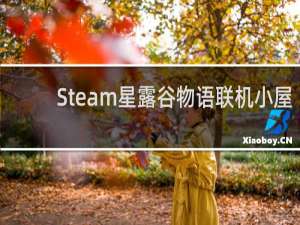Steam星露谷物语联机小屋