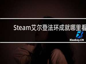 Steam艾尔登法环成就哪里看