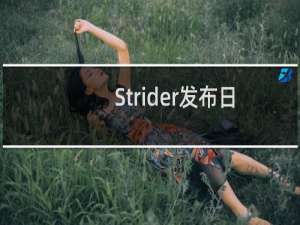 Strider发布日期确认 新模式详细