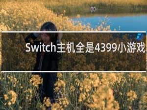 Switch主机全是4399小游戏