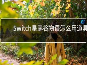 Switch星露谷物语怎么用道具