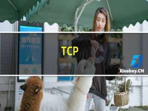 TCP/IP协议