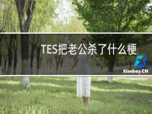 TES把老公杀了什么梗-「鲸吼社区」