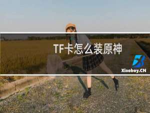 TF卡怎么装原神