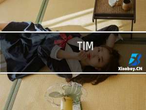 【TIM】免费TIM软件下载