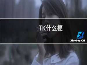 TK什么梗