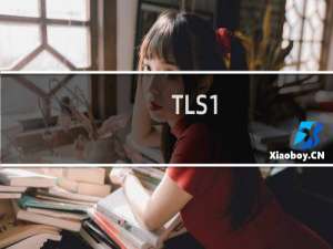 TLS1.0怎么升级到1.2以上呢