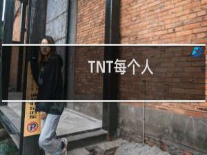 TNT每个人