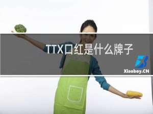 TTX口红是什么牌子