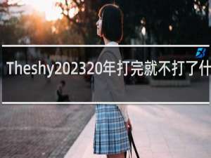 Theshy2023 年打完就不打了什么梗-「鲸吼社区」