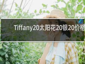 Tiffany 太阳花 银 价格
