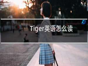 Tiger英语怎么读
