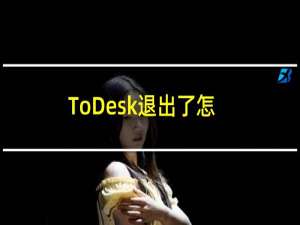 ToDesk退出了怎么重新登录（立即登录的详细步骤）