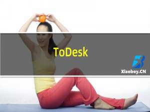 【ToDesk】免费ToDesk软件下载