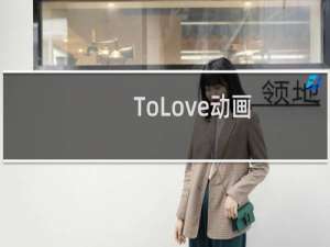 ToLove动画（tolove 漫画）