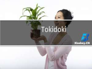 Tokidoki