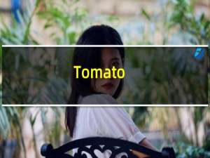 Tomato（DualWAN路由器固件怎么升级教）