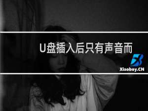 U盘插入后只有声音而无法查看U盘