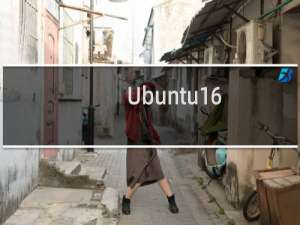 Ubuntu16.04下安装中文输入法