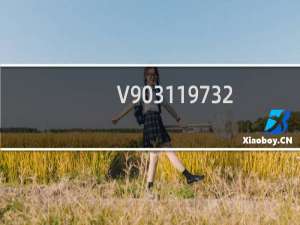 V903119732（v903sh）