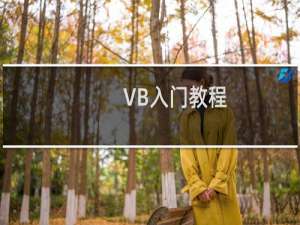 VB入门教程：[6]使用表达式比较值