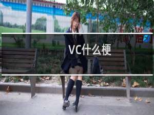 VC什么梗