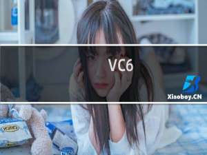 VC6.0开发手册中文版
