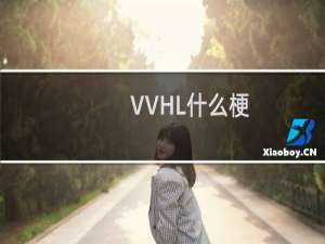 VVHL什么梗