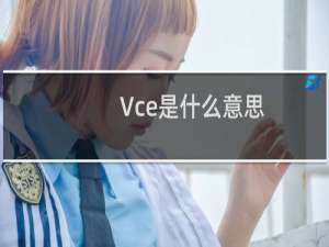 Vce是什么意思